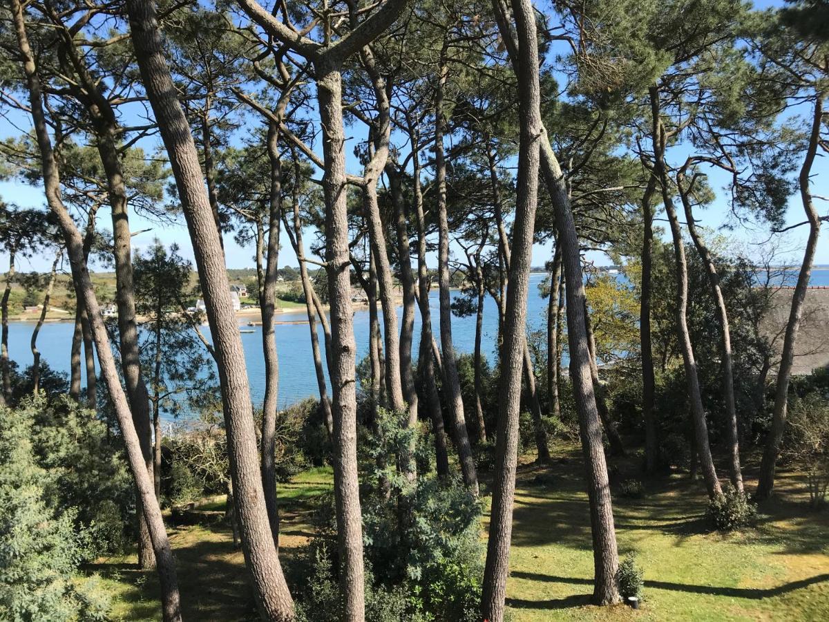 La Villa Bel Ange Hotel サン・フィリベール エクステリア 写真